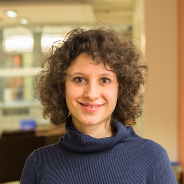 Image of a white woman with curly shoulder-length brown hair wearing a dark blue sweater.