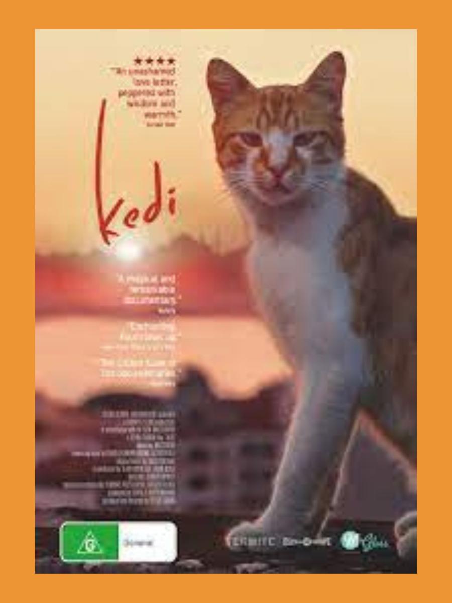 Kedi